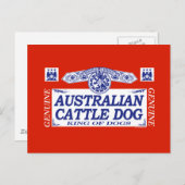 Australian Cattle Dog Briefkaart (Voorkant / Achterkant)