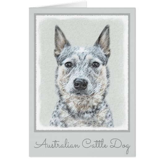 Australian Cattle Dog - Cute Original Dog Art (Voorkant)