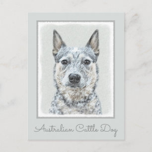 Australian Cattle Dog - Cute Original Dog Art Briefkaart