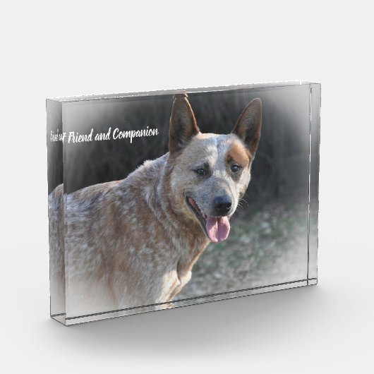 Australian Cattle Dog Fotoblokken (Links)