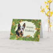 Australian Cattle Dog Happy Birthday Kaart (Gele Bloem)