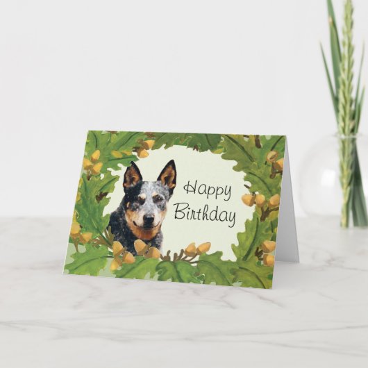 Australian Cattle Dog Happy Birthday Kaart (Voorkant)