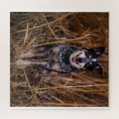 Australian Cattle Dog Heeler Legpuzzel (Horizontaal)