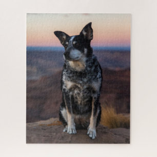Australian Cattle Dog Heeler - Sunset - Legpuzzel