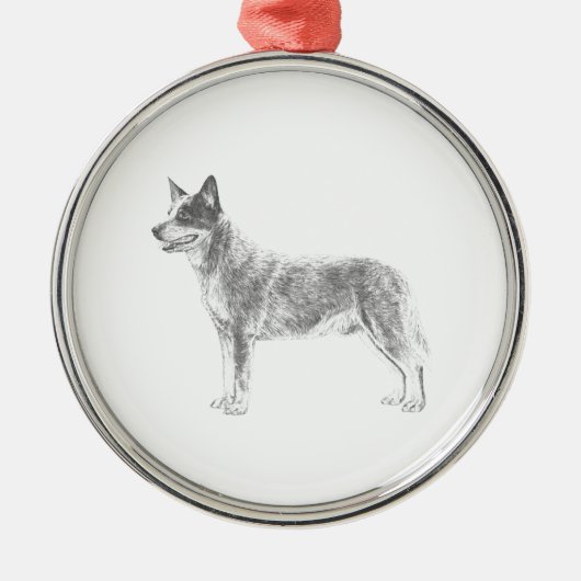 Australian Cattle Dog Metalen Ornament (Voorkant)