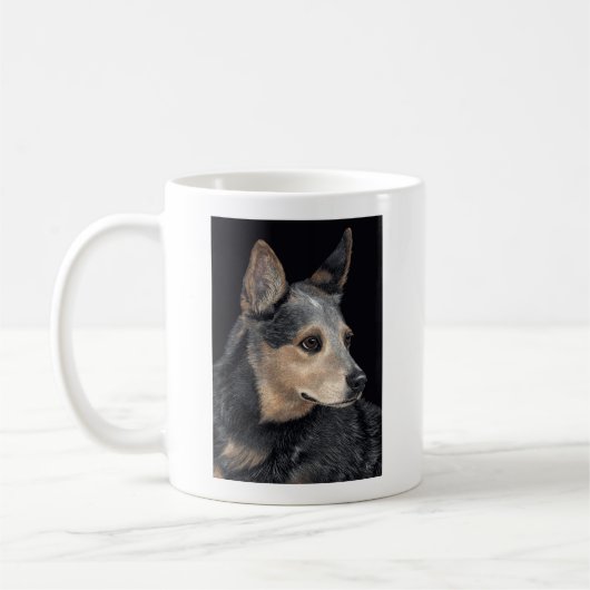 Australian Cattle Dog Mok - "Quigley" (Links)