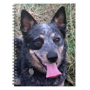 Australian Cattle Dog notitieboek
