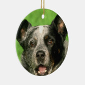 Australian Cattle Dog Ornament (Rechts)