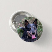 Australian Cattle Dog Ronde Button 3,2 Cm (Voorkant /achterkant)