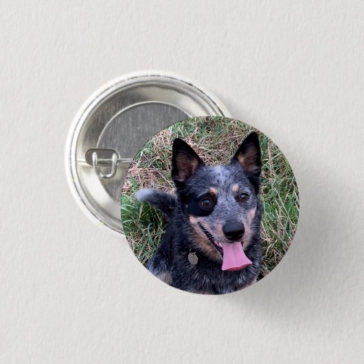 Australian Cattle Dog Ronde Button 3,2 Cm (Voorkant /achterkant)