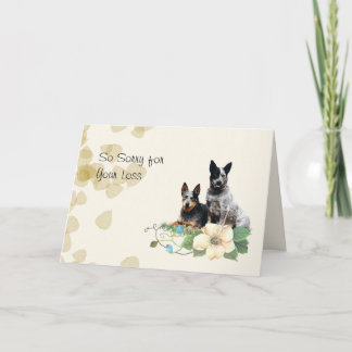 Australian Cattle Dog, Tan leveert sympathie Kaart