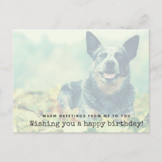 Australian Cattle Dog - Warm greetings van mij Briefkaart