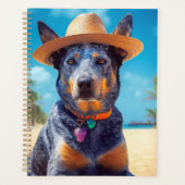 Australian Cattle on Beach, cadeau d'été des amour (Devant)