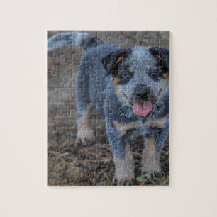 Australian Cattle Puppy Dog Legpuzzel