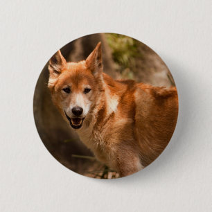 Australian Dingo badge Ronde Button 5,7 Cm