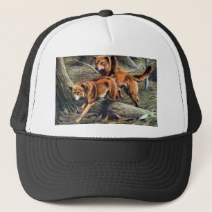 Australian Dingo Trucker Pet