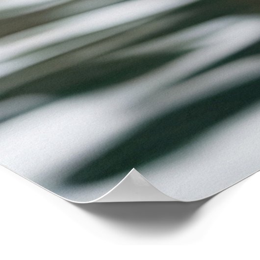 Australian Drop Beer Koala Poster (Hoek)