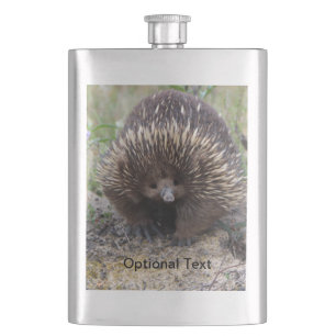 Australian Echidna Cute Animal Foto Flacon