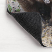 Australian Echidna Cute Animal Foto Muismat (Hoek)