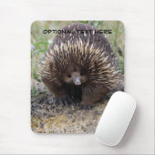 Australian Echidna Cute Animal Foto Muismat (Met muis)