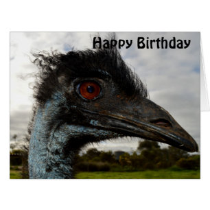 Australian Emu Face Up Close, Jumbo Birthday Kaart