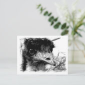 Australian Emu Wildlife Briefkaart (Staand voorkant)