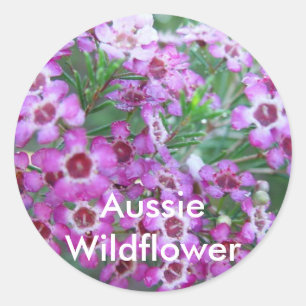 Australian Geralton Wax Ronde Sticker