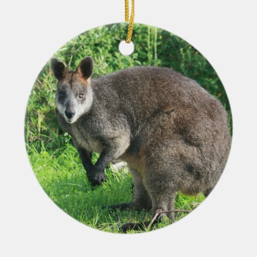 Australian Kangaroo Ornament (Voorkant)
