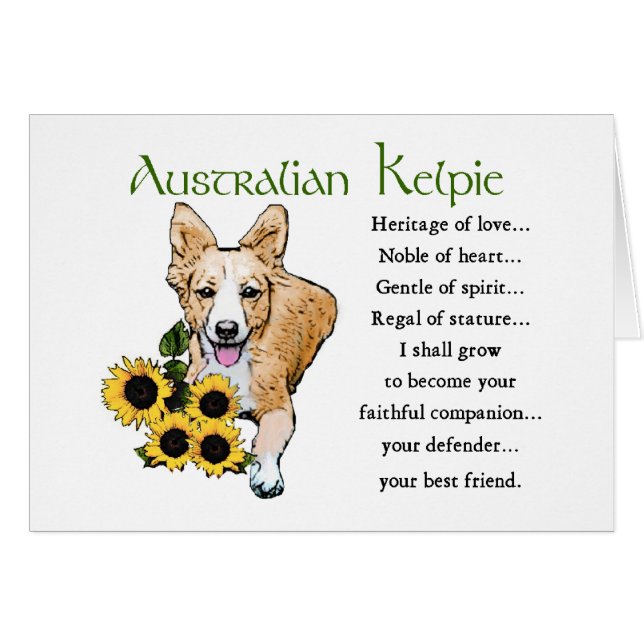 Australian Kelpie Gifts (Devant horizontal)
