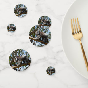 Australian Koala Beer, Confetti