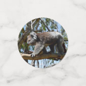 Australian Koala Beer, Confetti (Kleine voorkant)