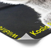 Australian Koala Poster (Hoek)