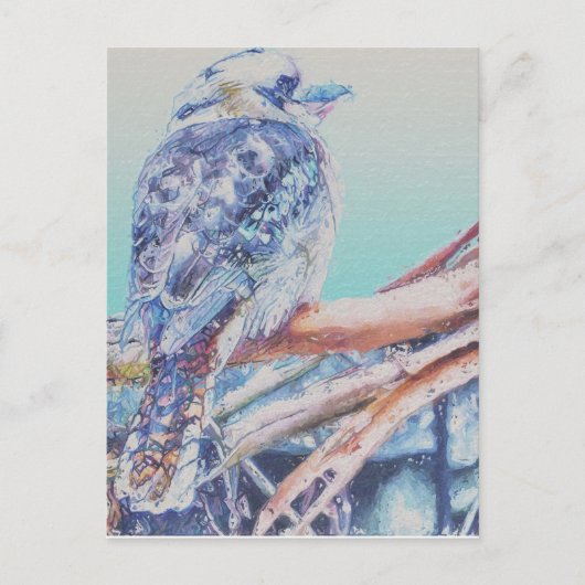 Australian Kookaburra Briefkaart (Voorkant)