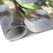 Australian Kookaburra Close Up, Cadeaupapier (Rol Hoek)