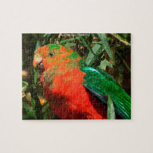 Australian Parrot Legpuzzel