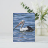 Australian Pelican Briefkaart (Staand voorkant)