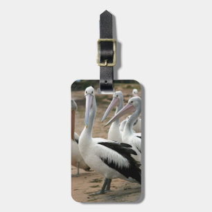 Australian Pelicans op Phillip Island Bagagelabel