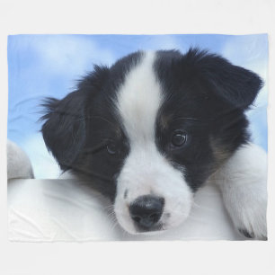 Australian Sheepdog op Large Fleece Blanket Deken