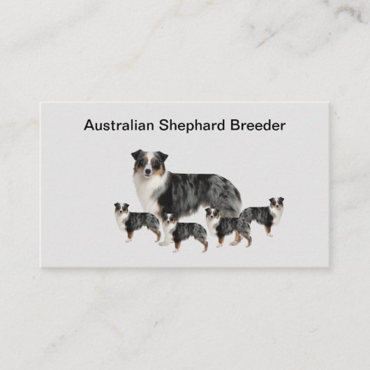 Australian Shephard Dog Breeder Visitekaartjes (Voorkant)
