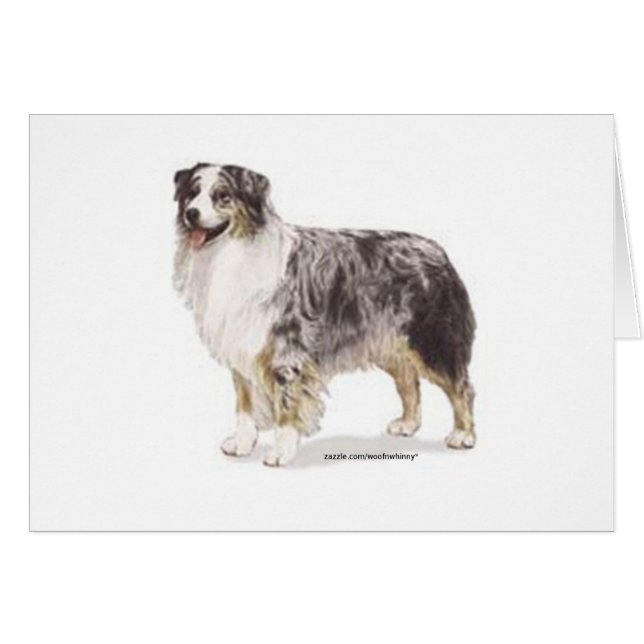 Australian Shepherd (Voorkant Horizontaal)