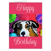 Australian Shepherd (Voorkant)