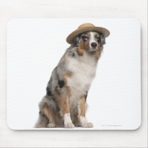 Australian Shepherd (10 maanden oud) met een Muismat