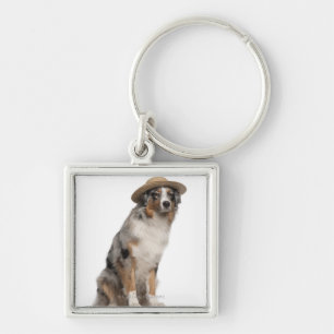 Australian Shepherd (10 maanden oud) met een Sleutelhanger