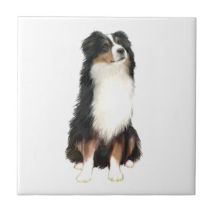Australian Shepherd (A) - Driekleurig Tegeltje