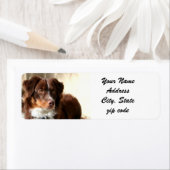 Australian Shepherd Adresetiketten Etiket (Insitu)