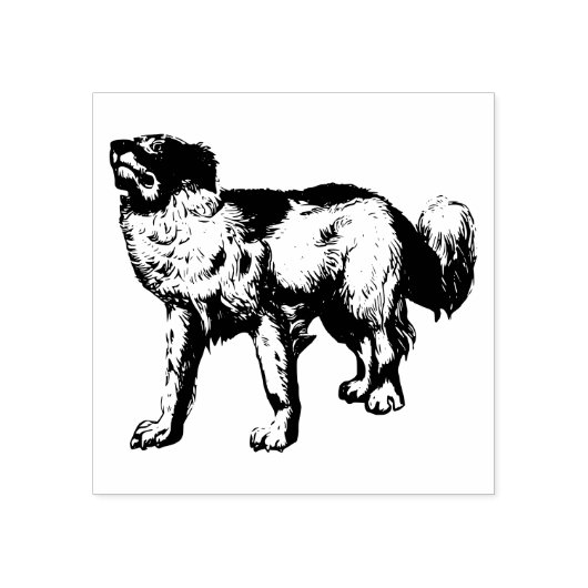 Australian Shepherd aka Aussie Hondenras Rubberstempel (Afrduk)