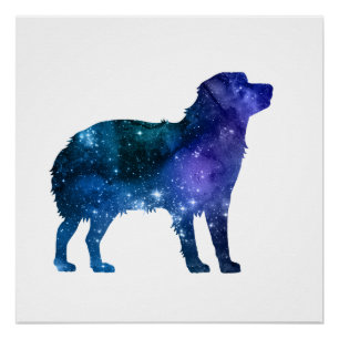 Australian Shepherd Art Aussie Dog Perfect Poster