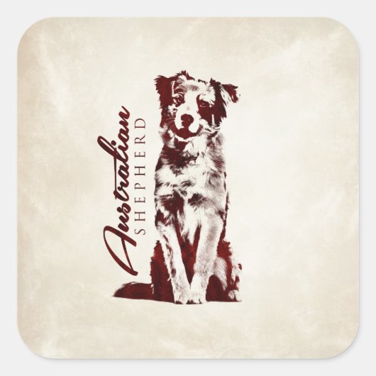 Australian Shepherd Aussie Vierkante Sticker (Voorkant)
