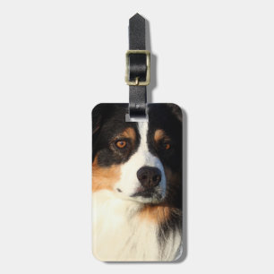 Australian Shepherd Bagagelabel