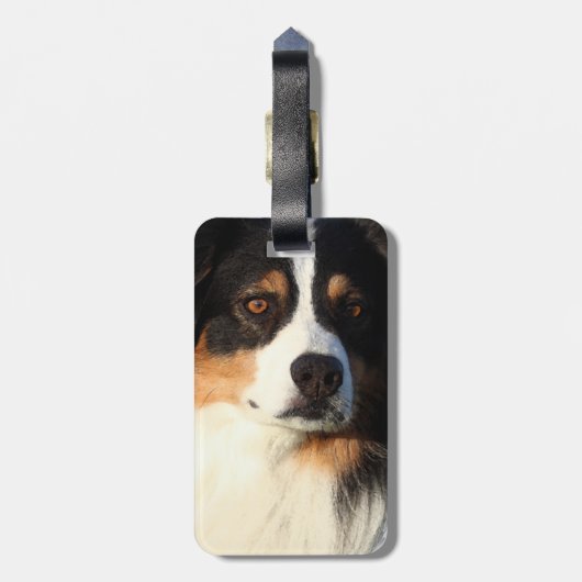 Australian Shepherd Bagagelabel (Achterkant verticaal)